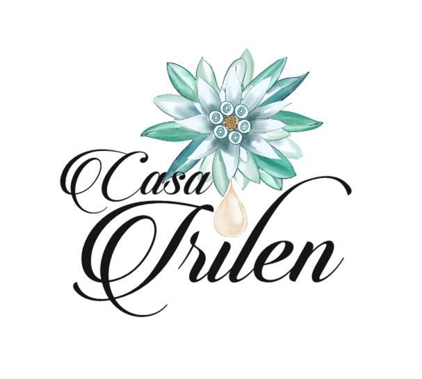 Casa Irilen Hotel Mînăstirea Humorului Buitenkant foto