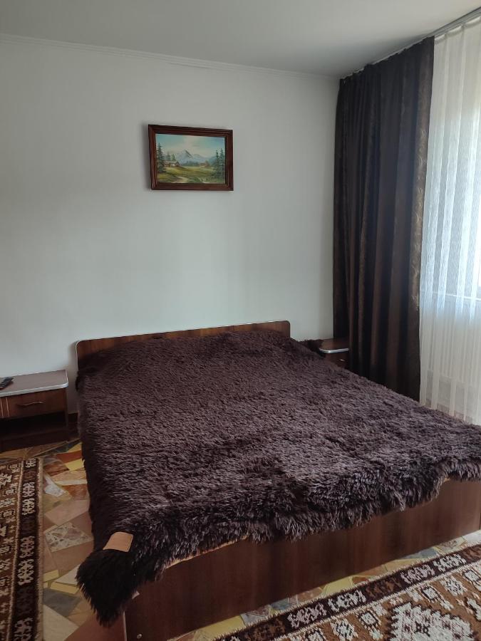 Casa Irilen Hotel Mînăstirea Humorului Buitenkant foto