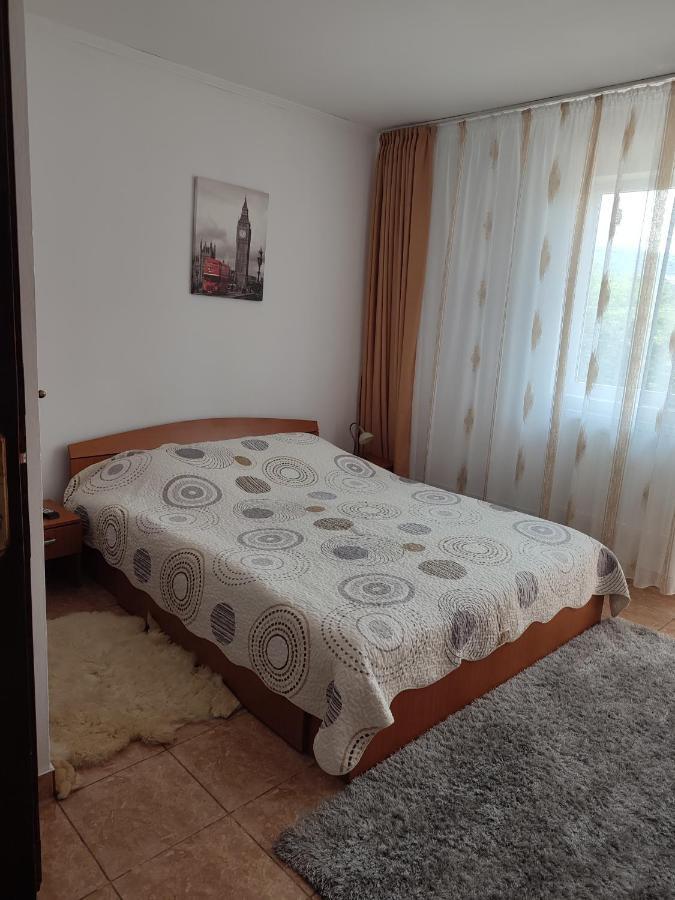 Casa Irilen Hotel Mînăstirea Humorului Buitenkant foto